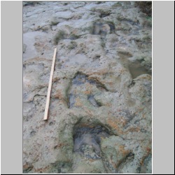 100_0992 (2009-28-07).JPG